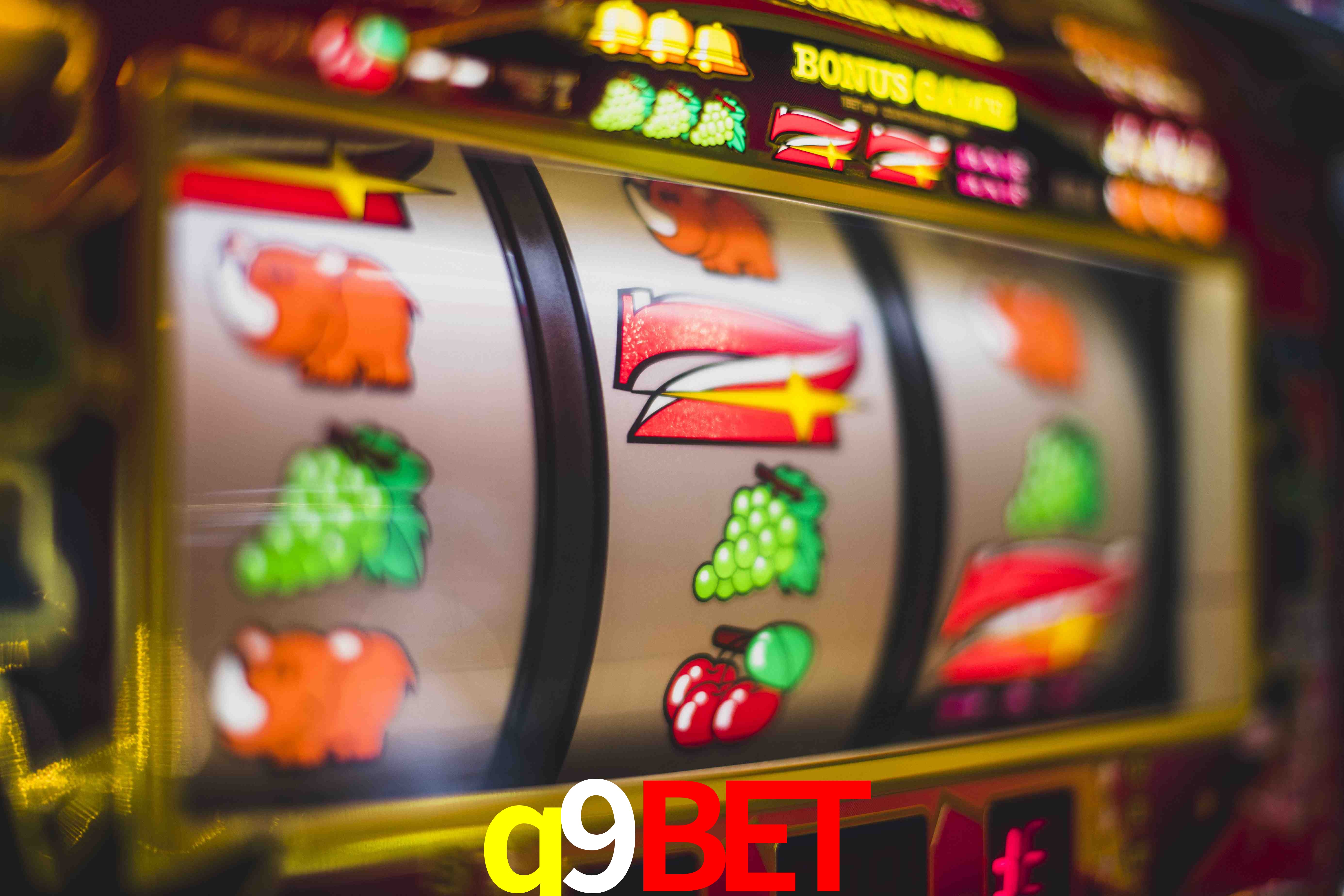 Crash Games Statistics q9bet
